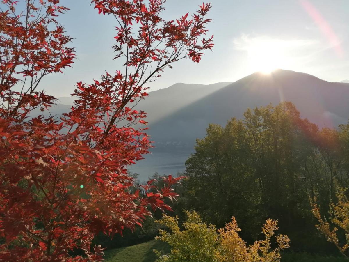 La Finestra Sul Bed & Breakfast Brusimpiano