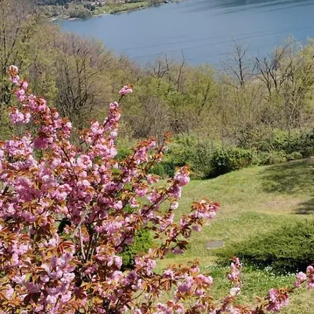 La Finestra Sul Lago Bed & Breakfast Brusimpiano Exterior photo